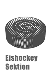 Eishockey